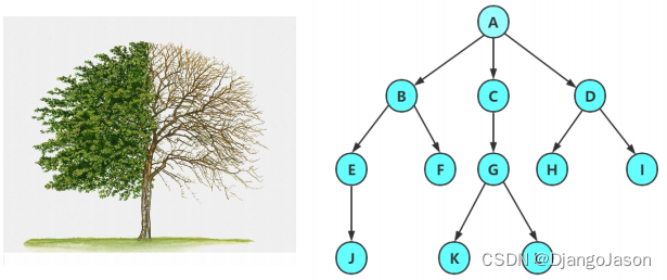 C语言数据结构（超详细讲解）| 二叉树的实现