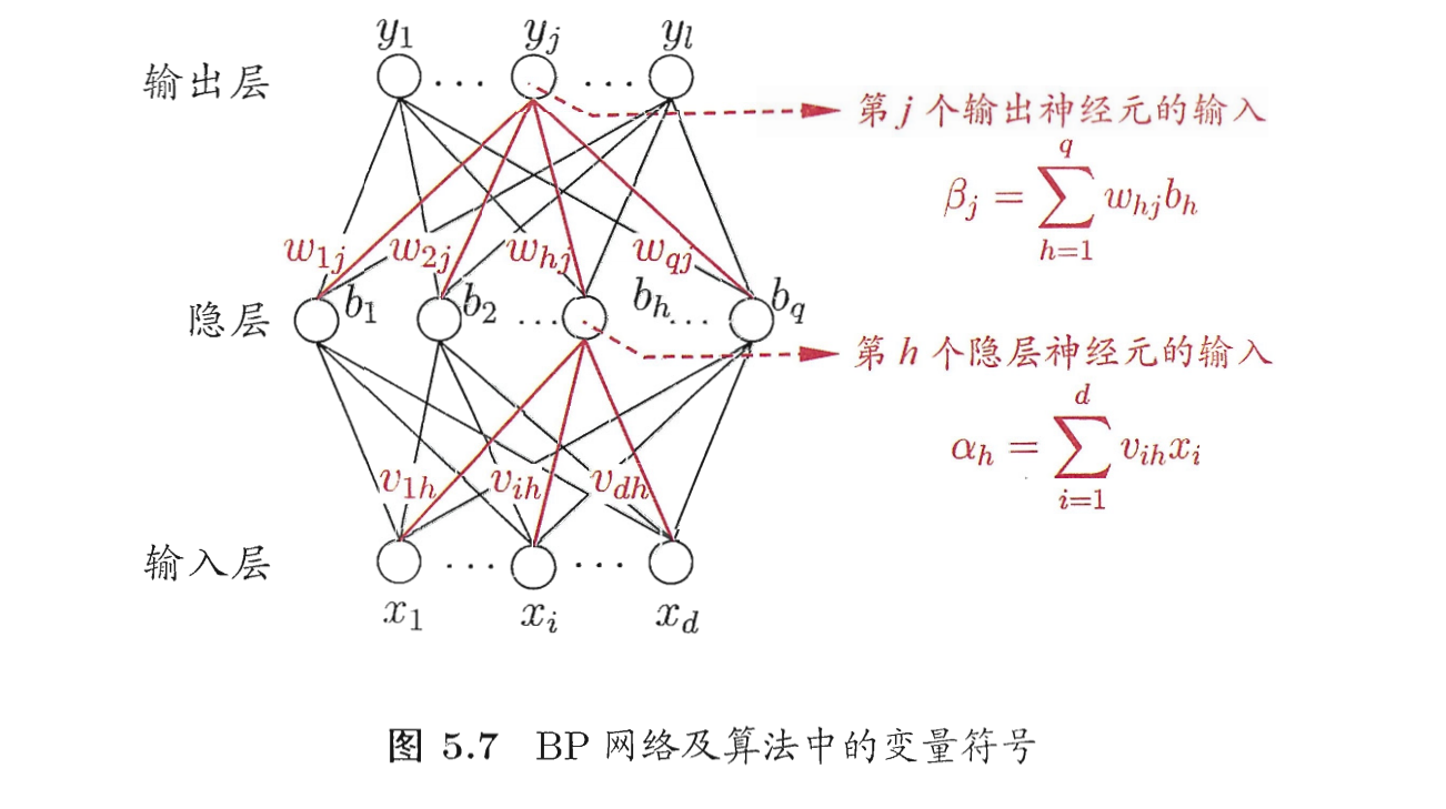 BP算法