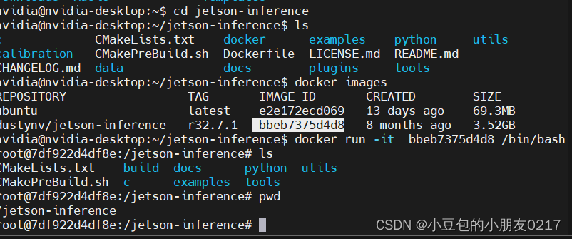 jetson-<span style='color:red;'>inference</span>----docker内运行分类任务