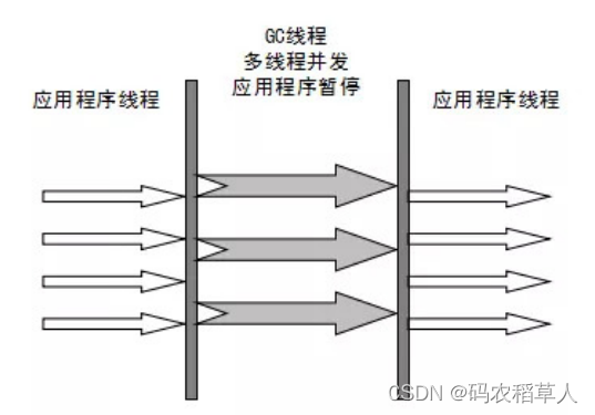 ParNew垃圾收集器流程图