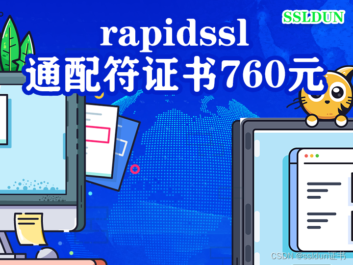rapidssl通配符证书760元
