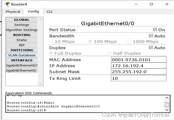 计算机网络综合组网实验