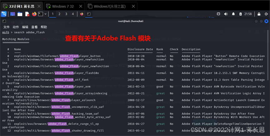 查找与Adobe Flash Player有关的渗透模块