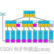 探索高效存储与快速查找: 深入了解B树数据结构