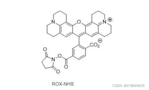 216699-36-4，6-Rhodamine X NHS ester，具有良好的脂溶性