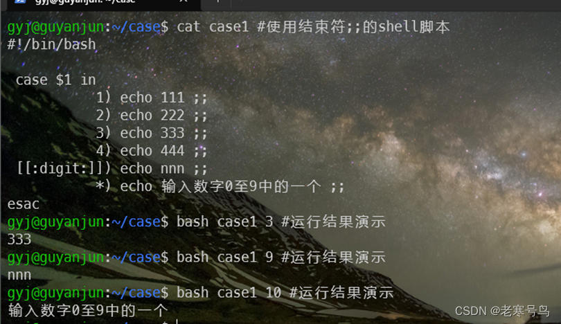 bash 5.2中文修订4