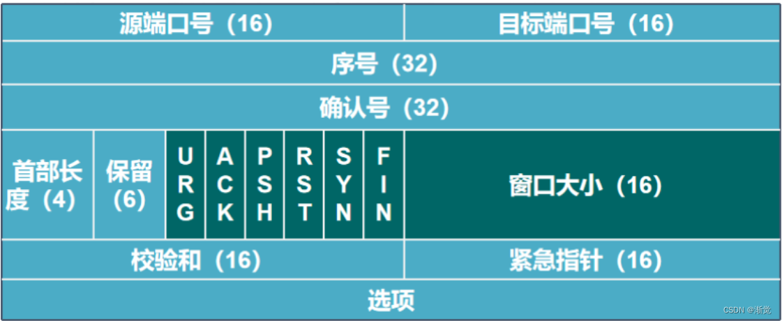 TCP/UDP 协议