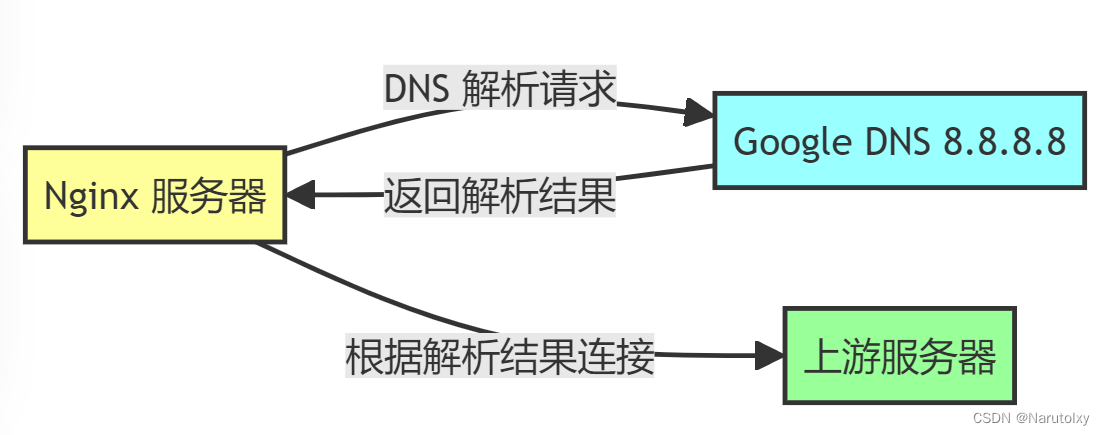 解决 Nginx 反向代理中的 DNS 解析问题：从挑战到突破20231228
