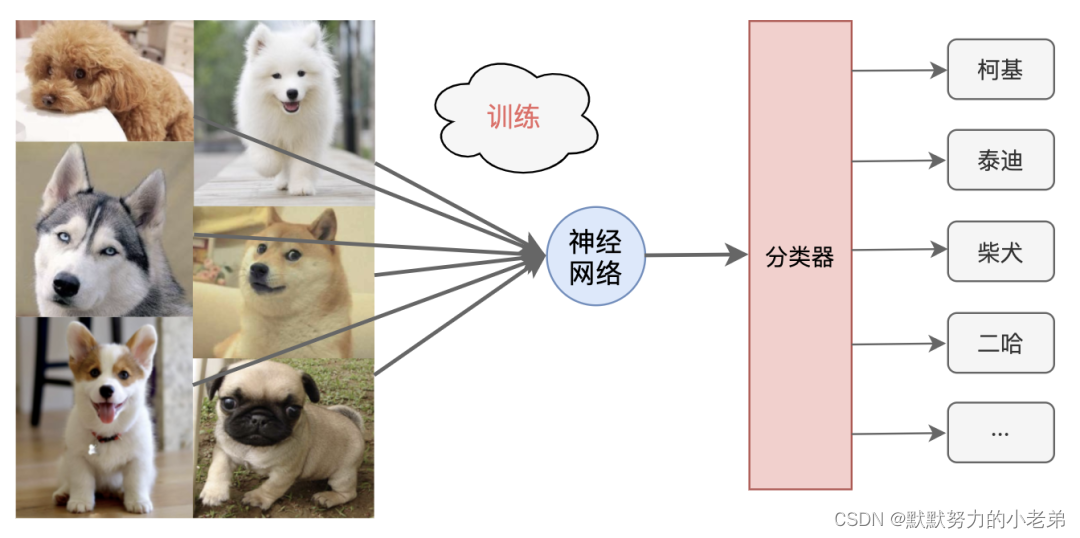 深入理解神经网络