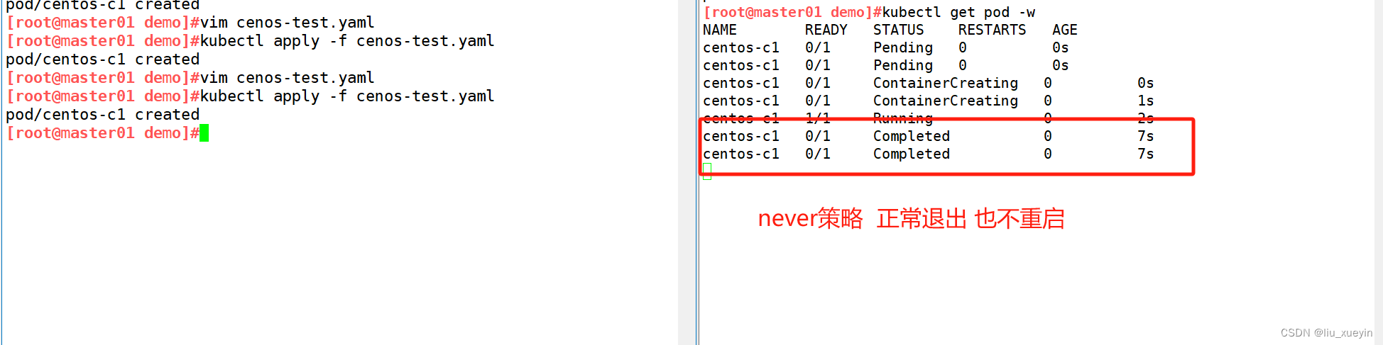 【kubernetes】关于云原生之k8s集群的pod理论详解