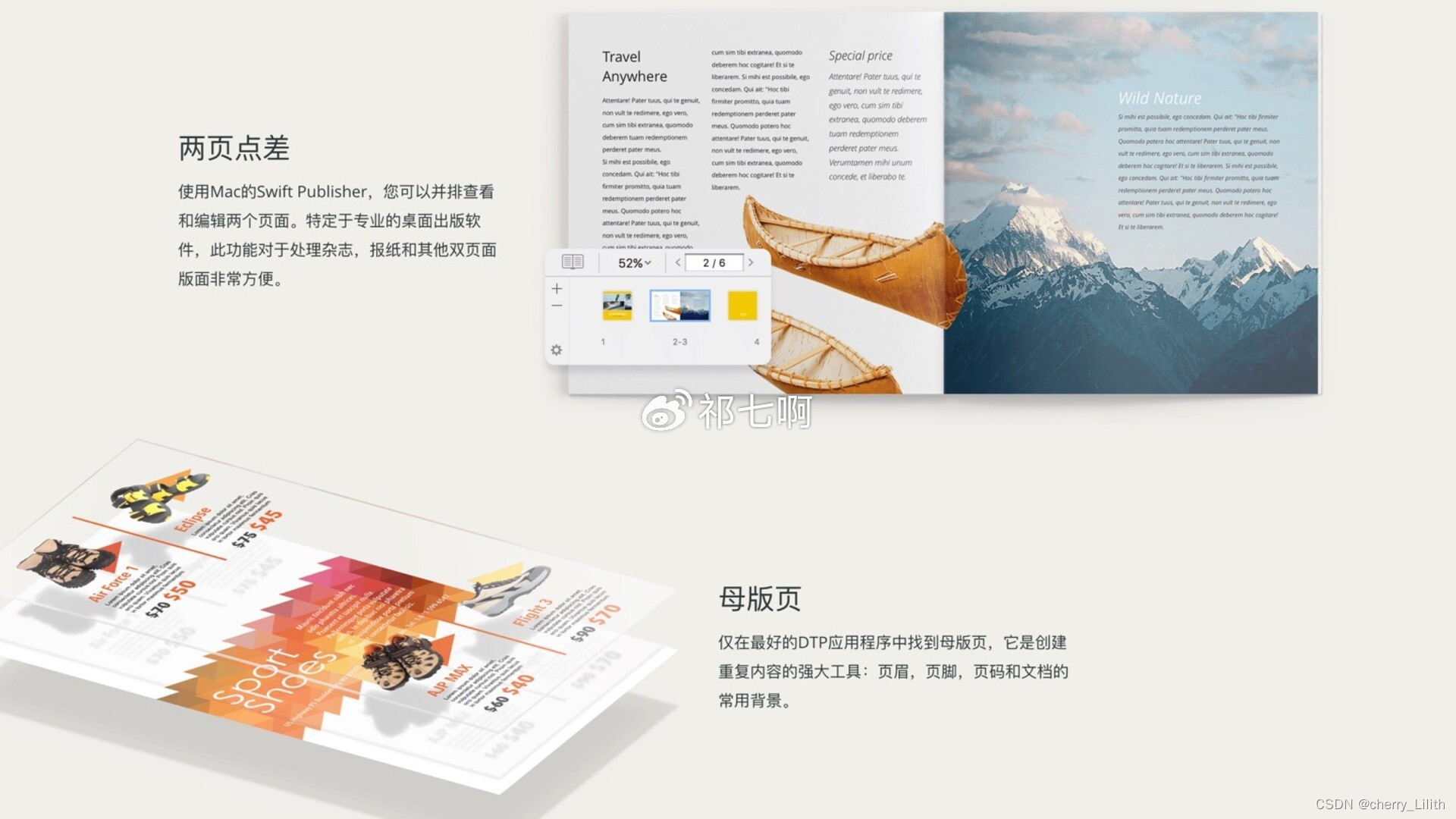 Swift Publisher 5 for mac：打造精美版面