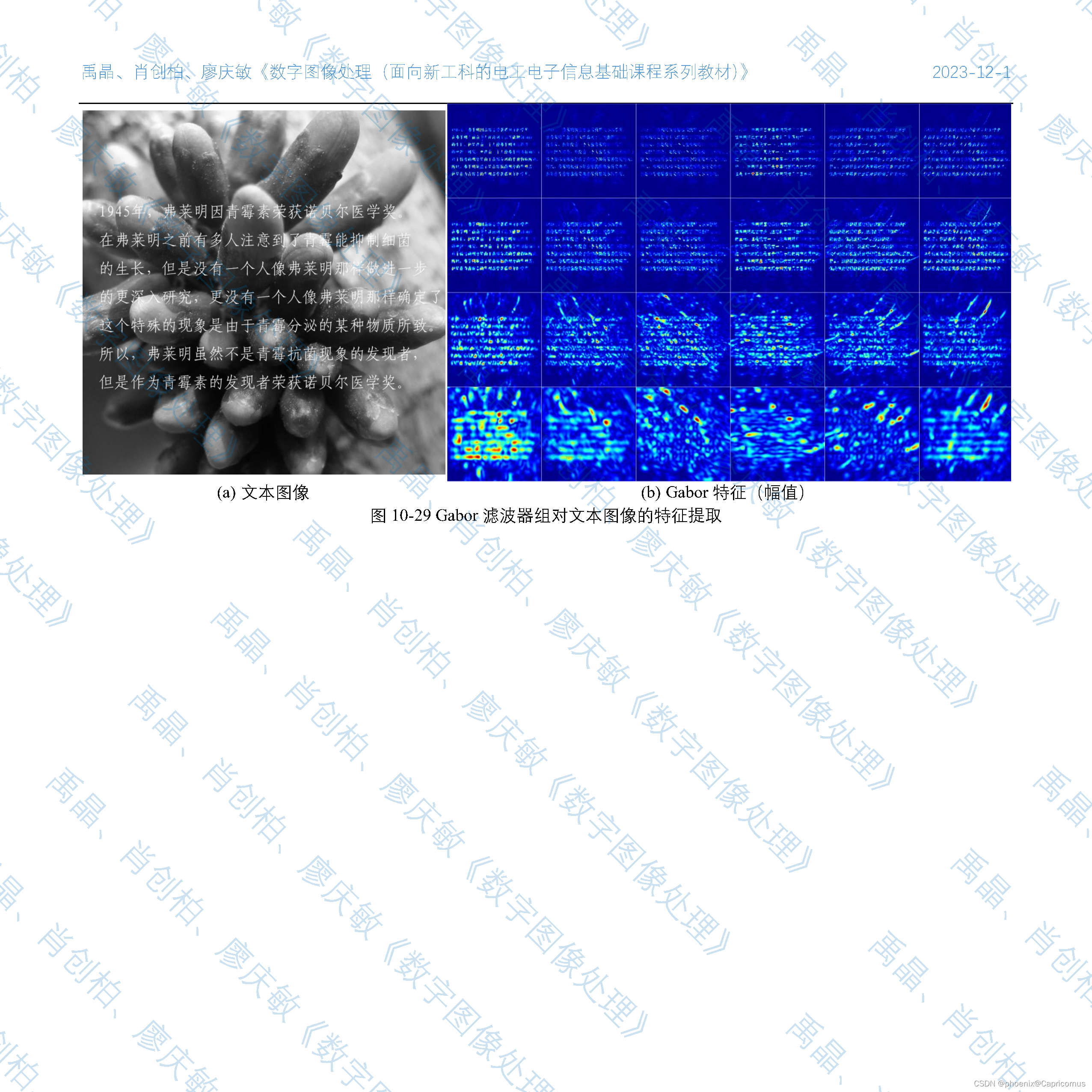 禹晶、肖创柏、廖庆敏《数字图像处理（面向新工科的电工电子信息基础课程系列教材）》Chapter 10插图