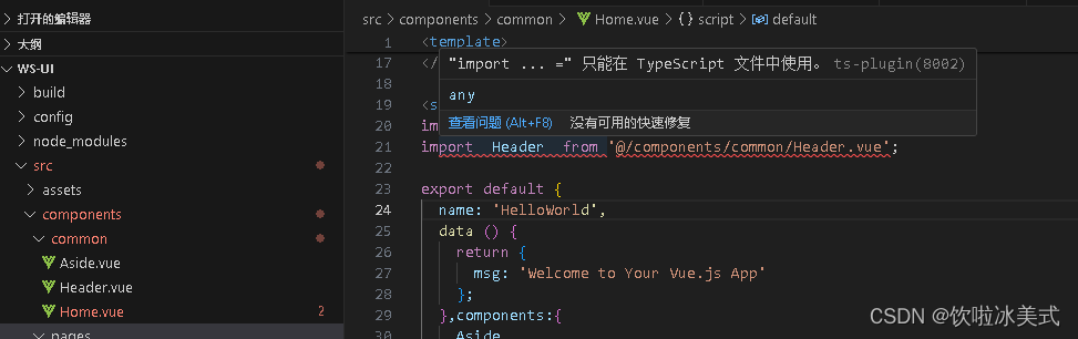 “import ... =“ <span style='color:red;'>只能</span>在 TypeScript <span style='color:red;'>文件</span>中使用