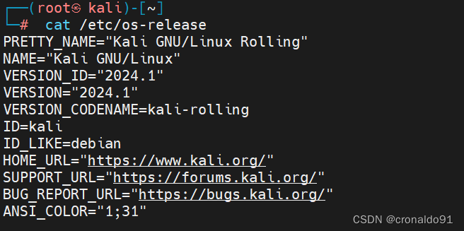 Linux系统管理：虚拟机 Kali Linux 安装