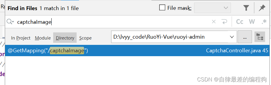 RuoYi-Vue开源项目2-前端登录验证码生成过程分析
