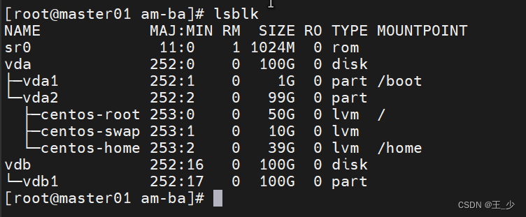 lsblk查看磁盘挂载情况