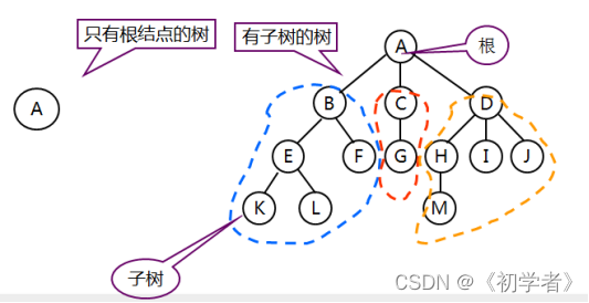 嵌入式开发学习--数据结构---树（tree）