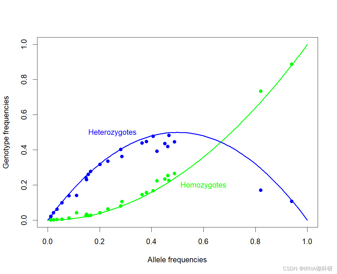 【基于R语言群体遗传学】-3-计算等位基因频率