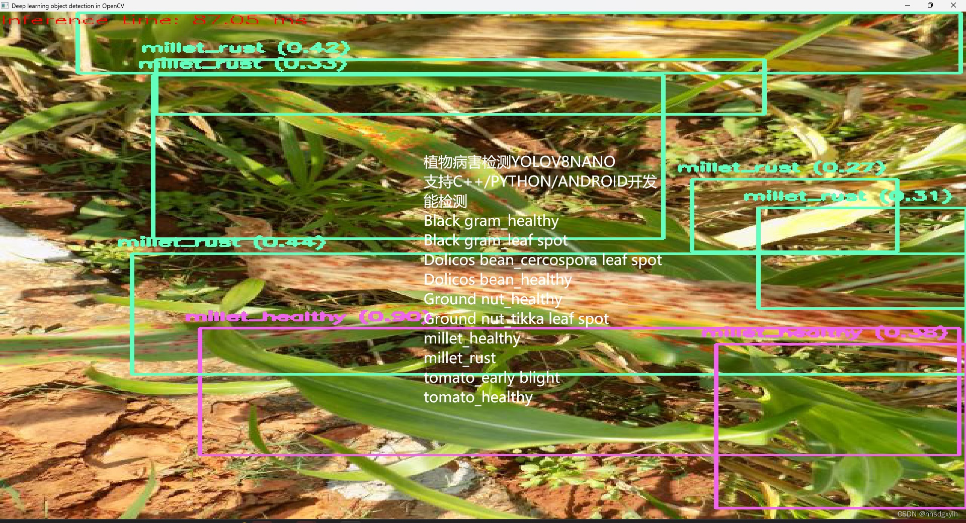 植物病害检测YOLOV8，OPENCV调用