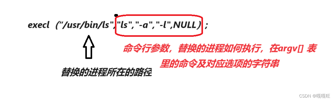 【linux】进程替换，Linux进程替换详解，Linux进程替换详解与操作指南，Linux进程替换详解及操作指南 第4张