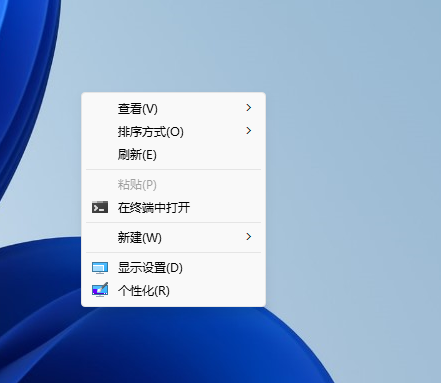 关于 Windows 11 显示更多选项