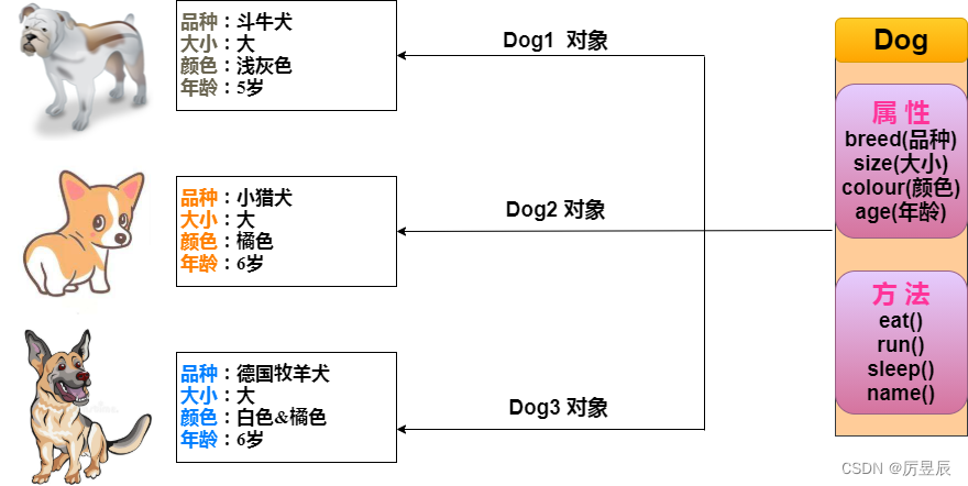 【Java从入门到精通】Java对象和类