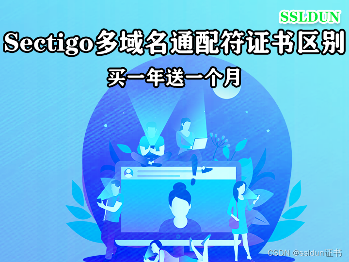 Sectigo多域名通配符证书区别买一年送一个月