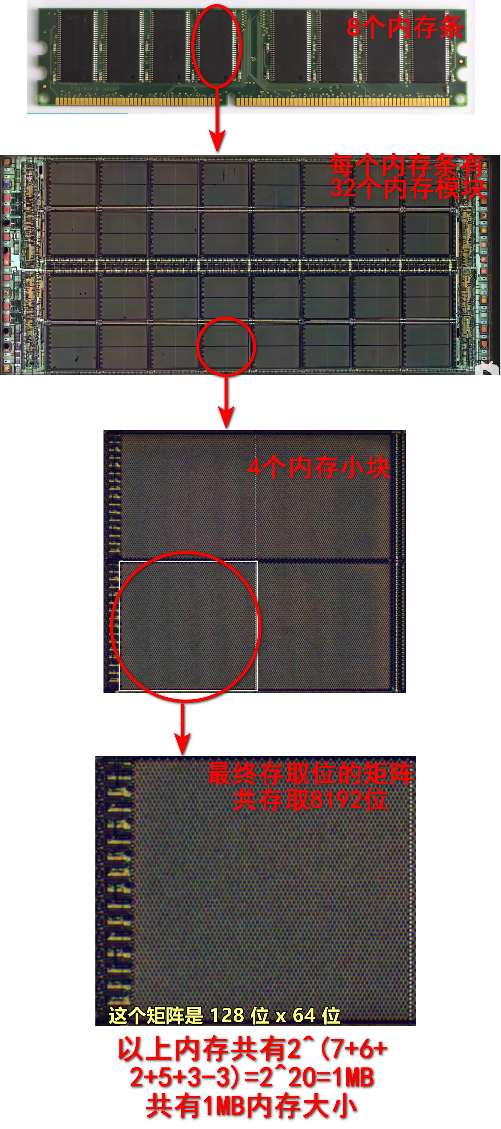 【计算机科学速成课】笔记一