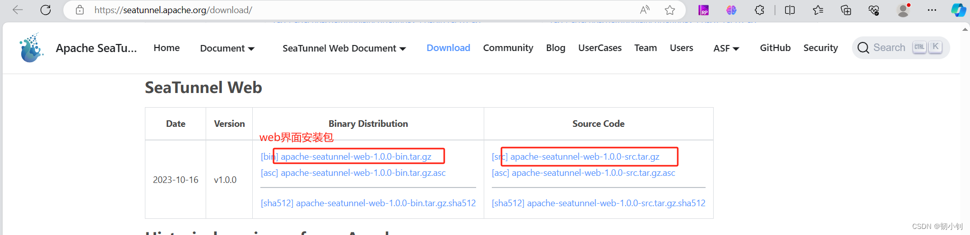 Apache Seatunnel部署（apache-seatunnel-2.3.3-bin.tar.gz + apache-seatunnel-web-1.0.0-bin.tar.gz），Apache Seatunnel部署指南（包括apache-seatunnel-2.3.3和apache-seatunnel-web-1.0.0的安装与配置） 第2张