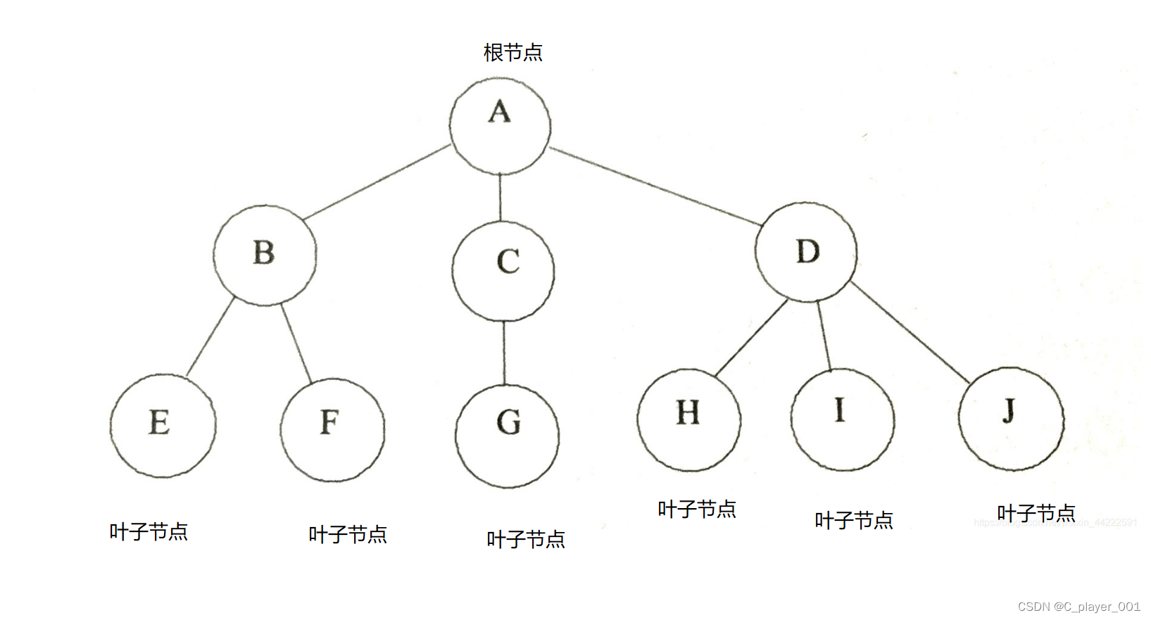 二叉树（一）———树的概念 + 堆与堆排序