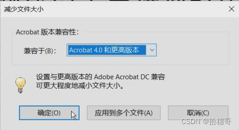 压缩PDF的大小-Adobe Acrobat Pro