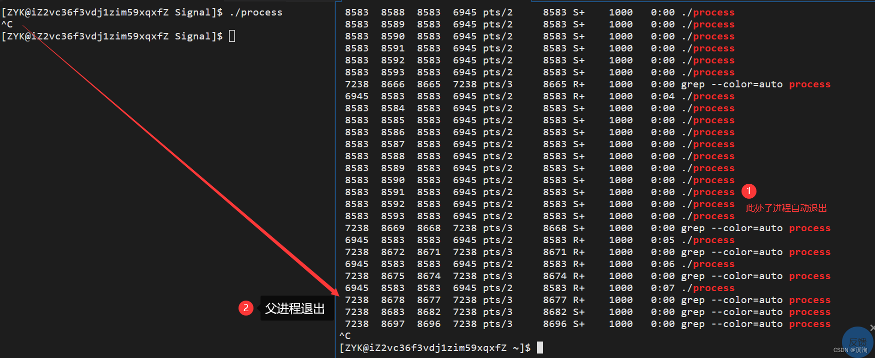 Linux系统----信号（万字文章超级详细并且简单易学附有实操shell指令图及注释！）