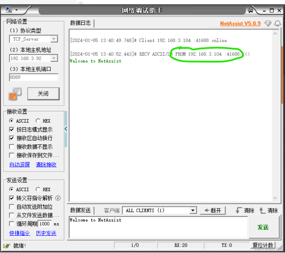 网络调试 TCP，开发板用静态地址-入门7