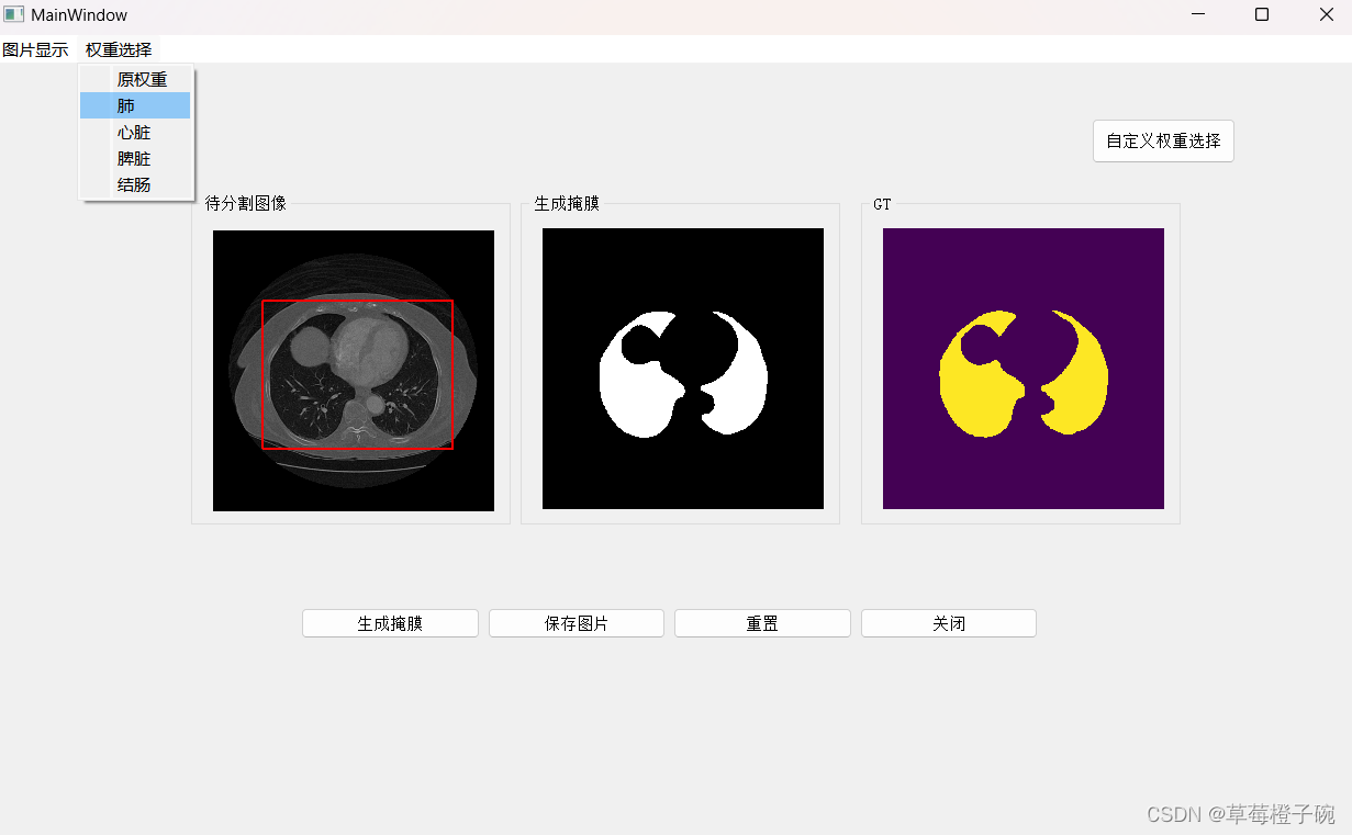 MIS微调SAM模型实时交互UI界面