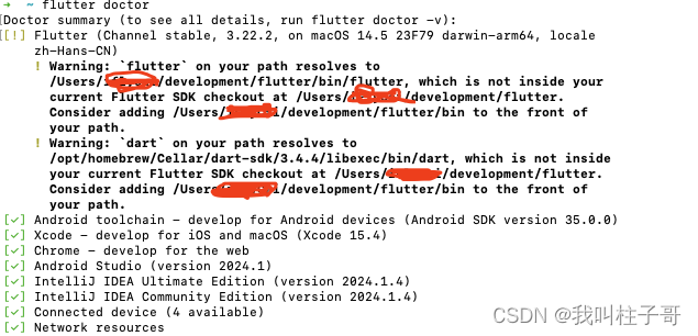 ! Warning: `flutter` on your path resolves to