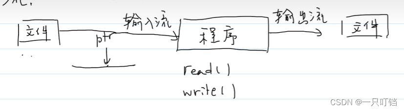 C语言算法(二分查找、文件读写)