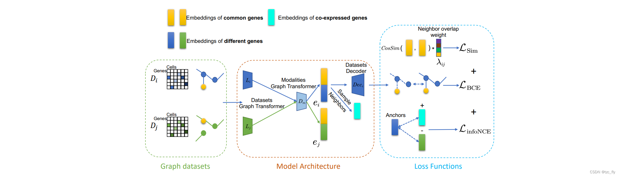 从多模态生物图数据中学习Gene的编码-MuSeGNN