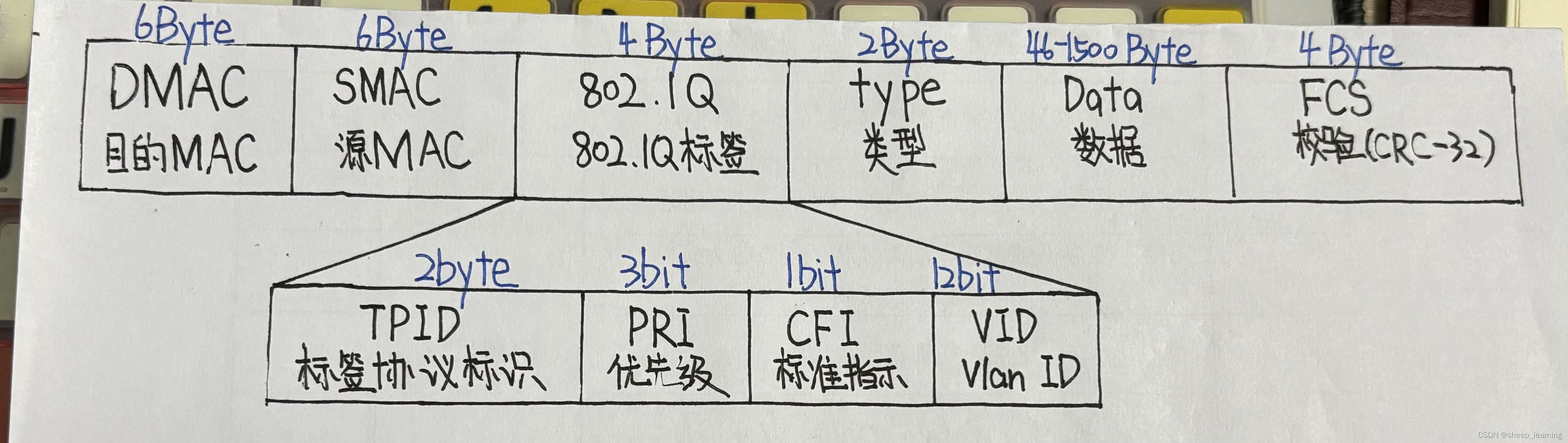 VLAN数据帧结构