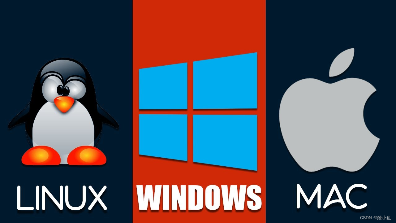  Windows macOS Linux 