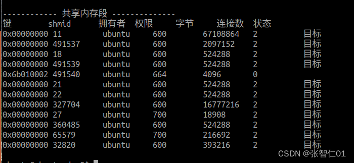 IO进程线程：共享内存