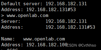 配置DNS主从服务器，实现真反向解析