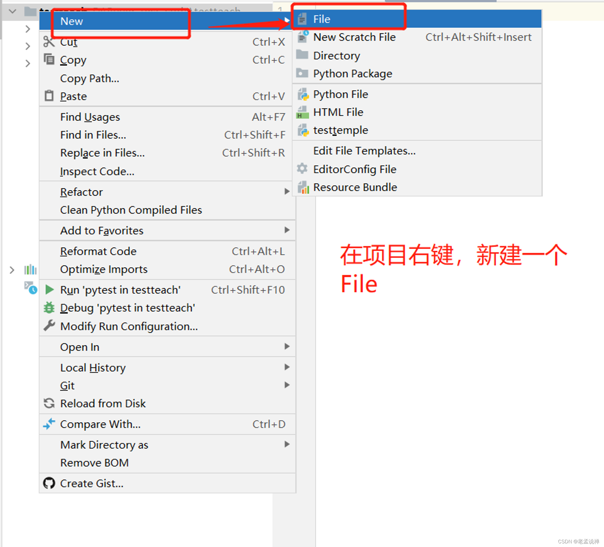 Pytest测试用例参数化