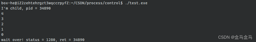 Linux：<span style='color:red;'>进程</span><span style='color:red;'>等待</span> & <span style='color:red;'>进程</span><span style='color:red;'>替换</span>