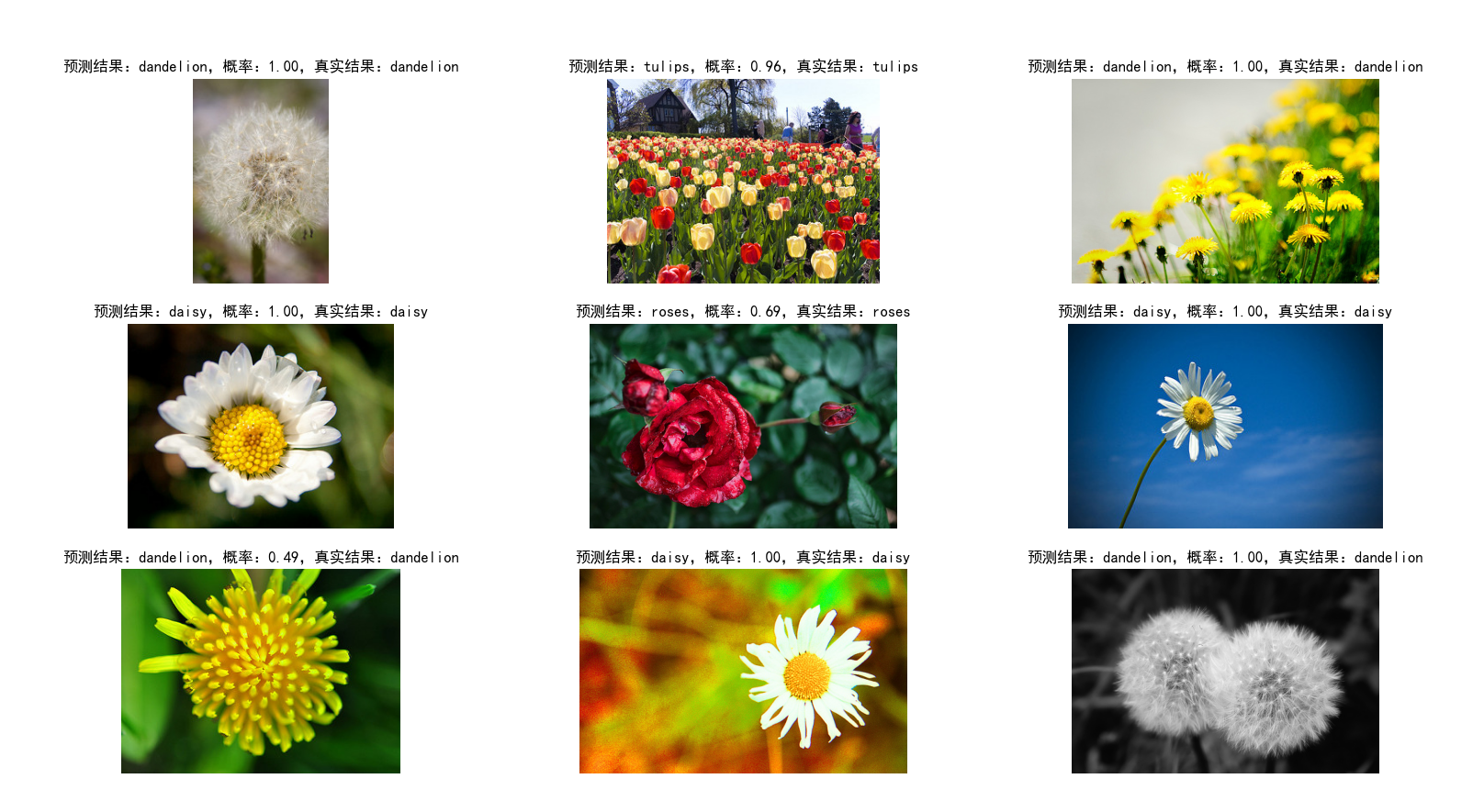 基于 YOLO V8 Cls Fine-Tuning 训练花卉图像分类模型