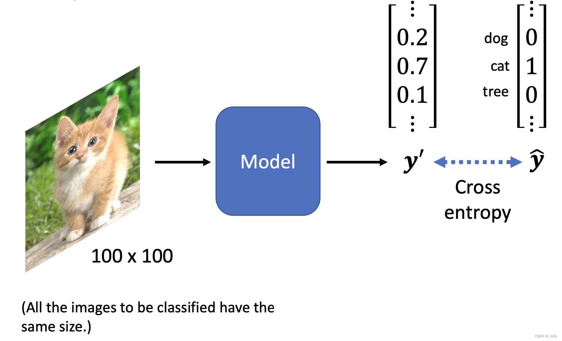 Lesson 6 Convolutional Neural Network(CNN)