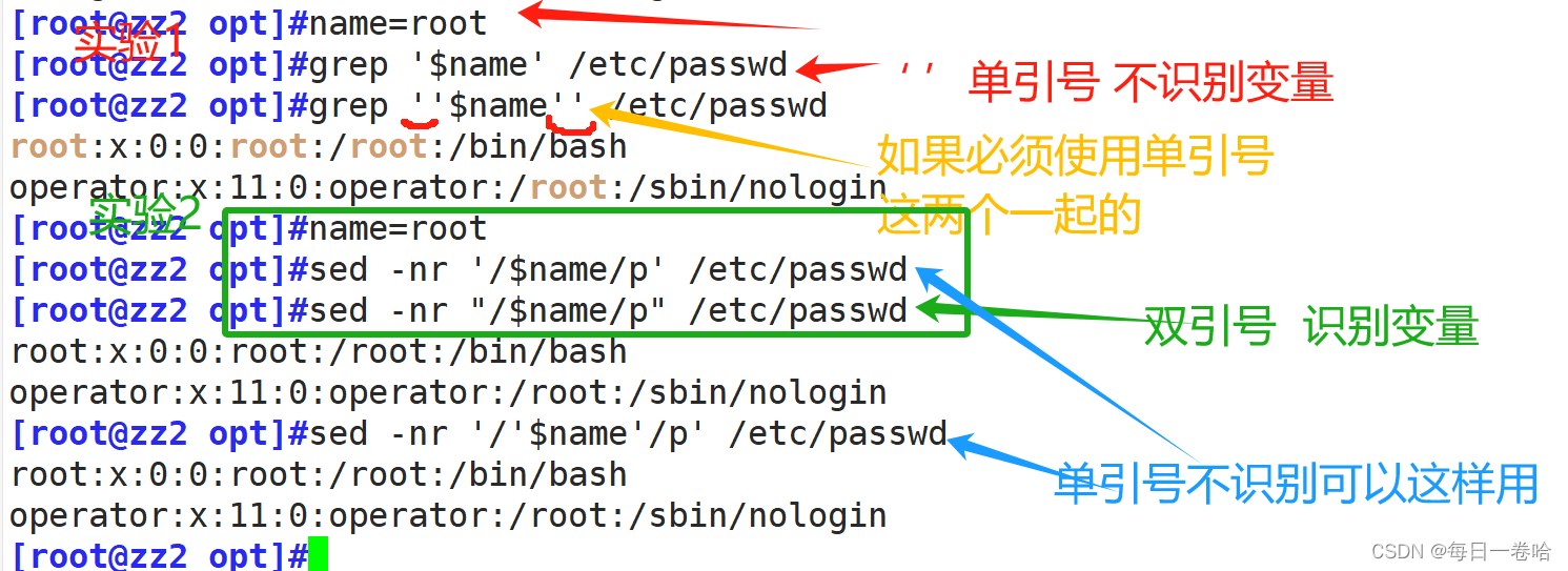 Linux系统Shell脚本 ----- 编程规范和变量详细解读（一）