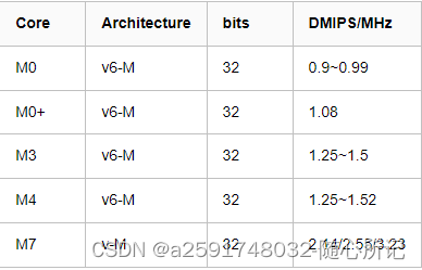 ARM DMIPS算力说明