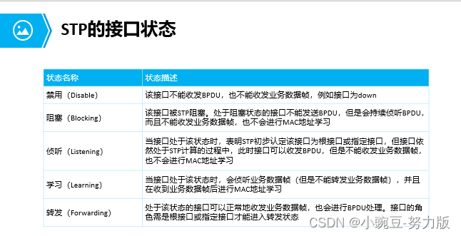 STP学习的第一篇