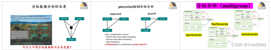 基于R语言piecewiseSEM结构方程模型在生态环境领域实践技术应用